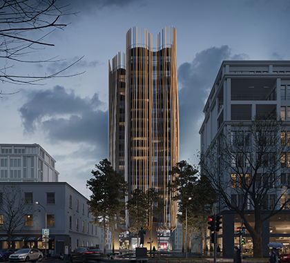 დომუსის ხეები